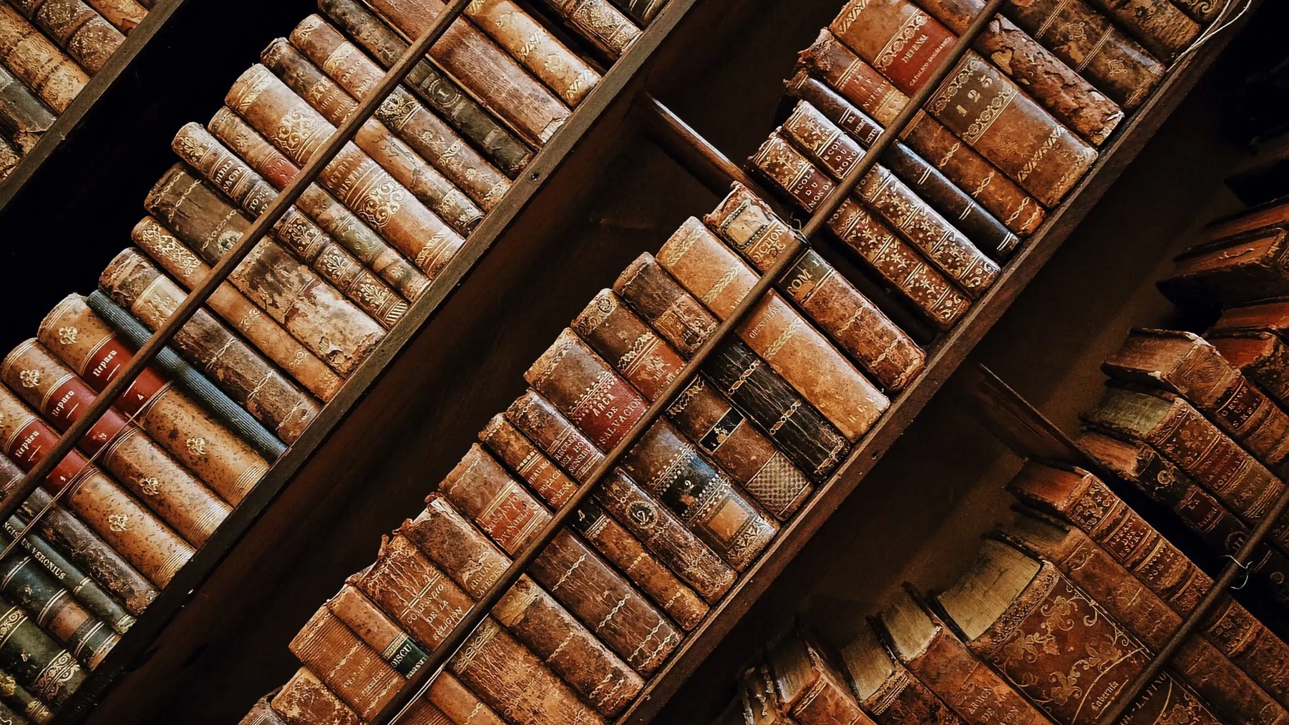 photo librairie scaled